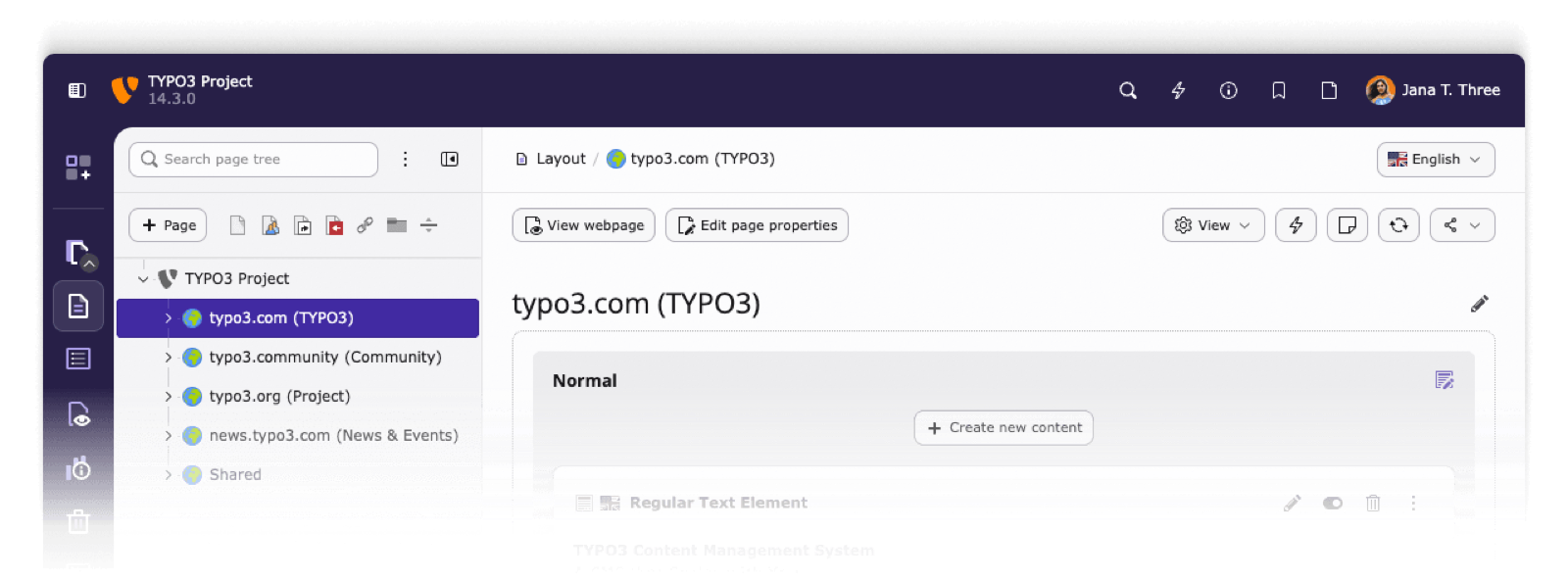 TYPO3-Backend mit Seitenbaum und Seitenmodul